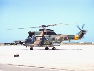 Puma Portugalia