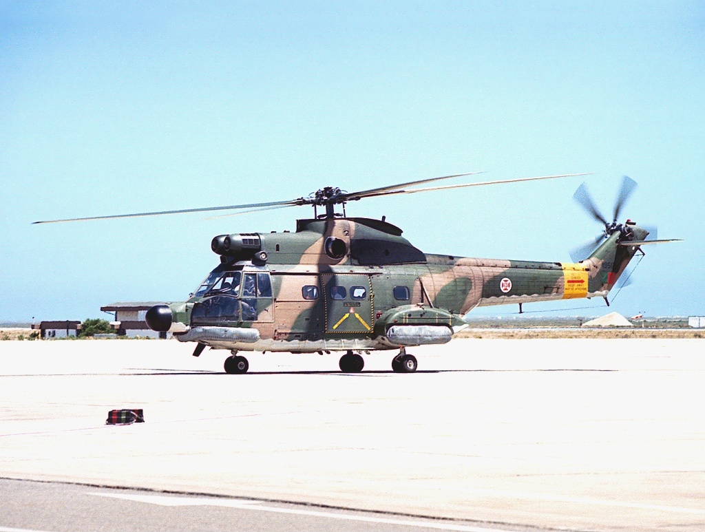 Puma Portugalia
